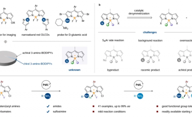 南方科技大学&中南民族大学Nature Commun：不对称C-N偶联合成硼立体中心BODIPY