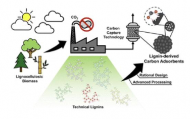 Chem. Soc. Rev.：木质素基多孔碳吸附剂捕获二氧化碳