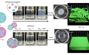 Nature Materials：稀聚合物网络中渗透诱导的凝胶-凝胶相分离