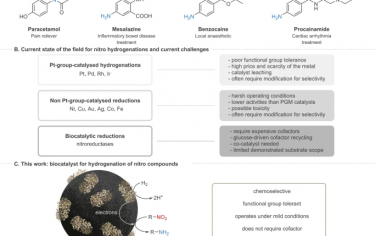 Nature Commun：生物异相催化硝基化合物还原
