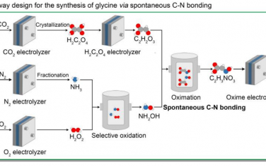 中科大曾杰&耿志刚&电子科技大学夏川Angew：CO2和N2和H2O串联催化合成甘氨酸