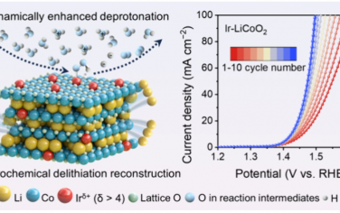 南京航空航天大学JACS：通过脱锂结构重构增强酸性OER的动态脱质子