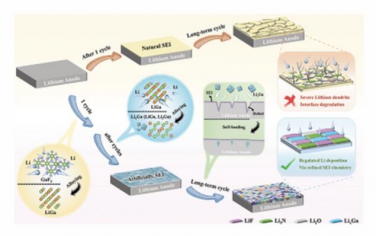 AFM：原位构建LiF/Li3N/LixGa杂化SEI以实现长寿命丁二腈基固态锂金属电池