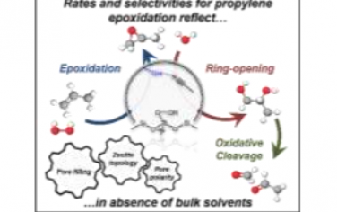 Angew：Ti分子筛结构和溶剂分子影响气相丙烯环氧化反应选择性