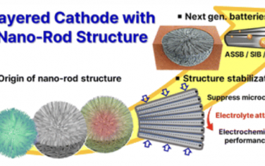 Chem. Soc. Rev.：电池富镍层状阴极中的纳米棒