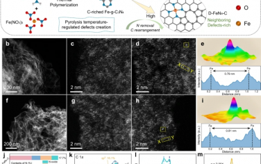 四川大学&南开大学Nature Commun：相邻Fe-N4的协同作用改善Fenton处理污水