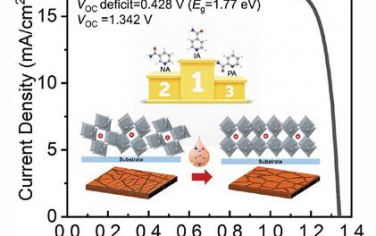 AM：提高宽带隙钙钛矿的光伏择优取向来实现高效全钙钛矿叠层太阳能电池
