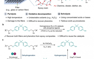 Nat Commun ：负载型Ni-Pd催化剂对环氧树脂C-O键选择性氢解的双金属协同作用