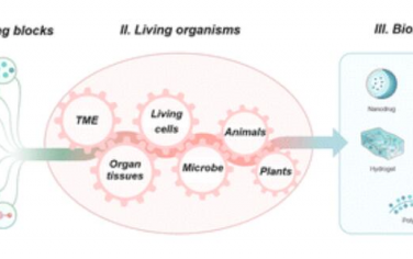 Chem. Soc. Rev.：活性生物材料的合成