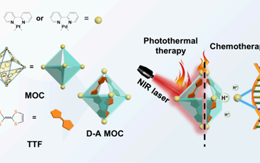 Nano Lett：具有优异的协同光热-化疗效果的供体-受体功能化水溶性金属-有机笼