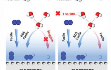 AEM：氮还原反应和析氢反应之间动力学竞争的新机制