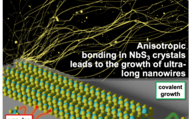 JACS：合成超长的1D vdW纳米线NbS3