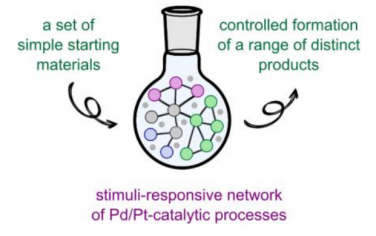 Angew：Pd/Pt双核催化剂发展刺激响应催化反应体系
