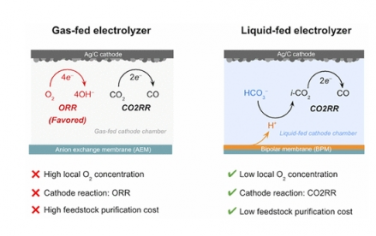 JACS: 通过电解液体原料实现耐氧二氧化碳还原