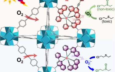 天津工业大学Angew：调控MOF光敏基团选择性生成单线态氧或超氧实现选择性催化氧化