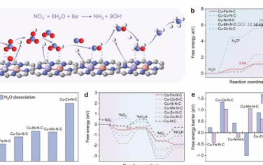 Energy Environ. Sci.：调控双原子催化剂上的中间吸附和H2O解离促进硝酸盐电催化还原为氨