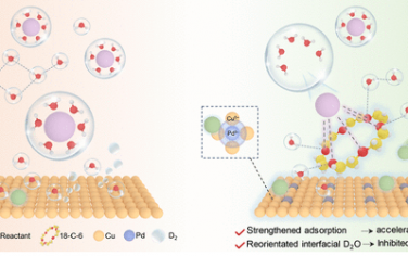 天津大学JACS：Cuδ+增强吸附和冠醚辅助稳定D2O电催化脱卤氘代