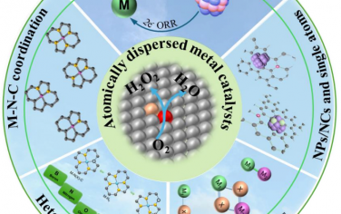 Angew综述：原子分散金属催化剂ORR的2电子vs4电子路径