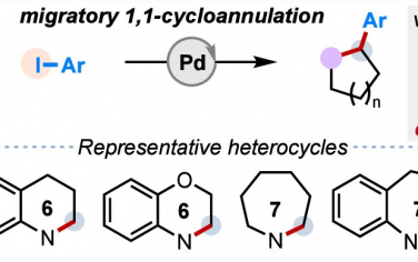 上海有机所JACS：Pd催化烯烃转移1,1-增环反应
