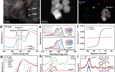 Nature Communications：通过痕量溴离子增强的Fe-NC电催化剂在质子交换膜燃料电池中的高性能表现