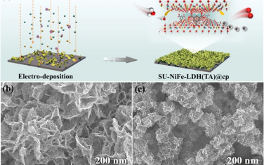 中国石油大学Nature Commun：仿生均三甲酸修饰NiFe-LDH电催化产氧