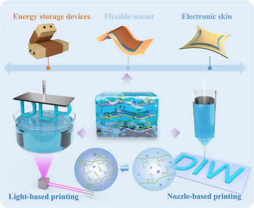 ACS Nano：基于可控微相分离策略的液相和固相3D打印通用水凝胶