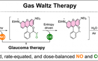 JACS：绿光触发的自校准级联释放一氧化氮和一氧化碳以协同治疗青光眼