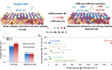 Sci. Adv.：MoZn 基高熵合金催化剂在碱性析氧中实现双重活化和稳定