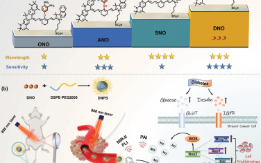 Adv. Mater：根据糖尿病相关乳腺癌机制量身定制的NIR-II荧光/光声纳米传感器
