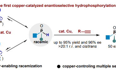 南开大学Angew：Cu催化端炔烃立体选择性氢磷化