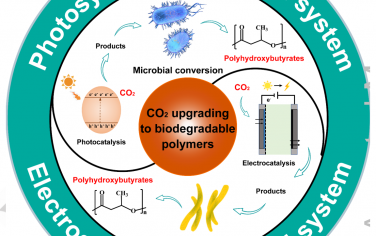 东华大学Angew综述：光-电生物复合将CO2转化为生物降解塑料