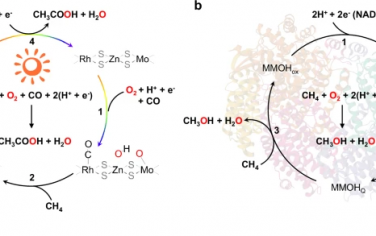 大连化物所Nature Commun：MoS2和Rh-Zn原子对光催化CH4羰基化合成乙酸