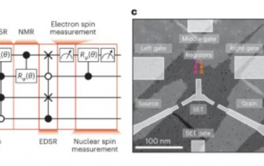 Nature Nanotechnology：四量子位寄存器中电子和核自旋的高保真初始化和控制