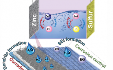 AEM：水性锌硫电池的超高容量和持久稳定性