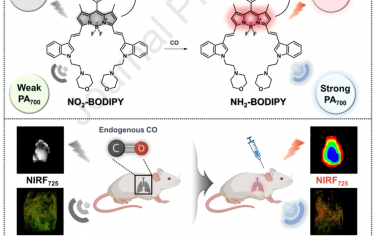 Biomaterials：利用近红外荧光探针对细菌性肺炎的内源性CO进行成像