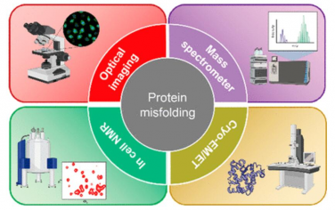 Chem. Rev.：检测细胞环境中蛋白质折叠和聚集的先进技术
