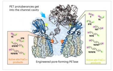 Nature Catalysis：亚微米和纳米尺寸的聚对苯二甲酸乙二醇酯与工程蛋白纳米孔的解构