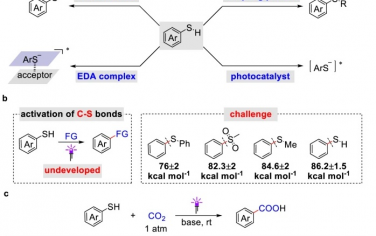 四川大学Nature Commun：光催化芳基硫化物羧酸化