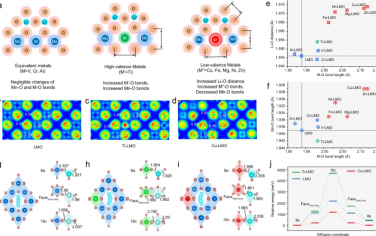 Nature Communications：基于LiMn₂O₄的熵增正极用于快充锂金属电池