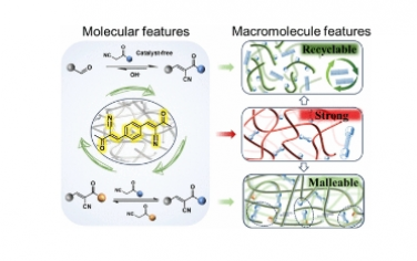 JACS：Knoevenagel 加合物实现可回收、可延展和强热固性材料