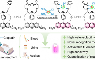 JACS：水溶性荧光传感器用于定量检测临床肿瘤患者体液中的痕量顺铂