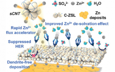 AEM：增强锌金属阳极抵抗不可控副反应和树枝状晶生长的水性锌离子电池