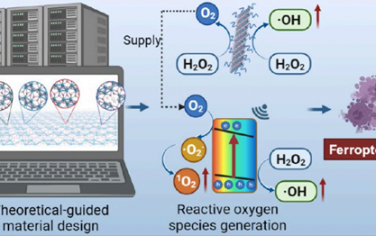 JACS：理论引导的空位调控Peierls畸变使1T′-ReS2纳米片具有声压电活性以用于肿瘤铁死亡治疗