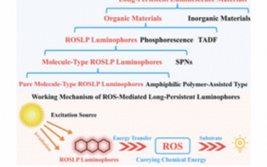 Chem. Soc. Rev.：活性氧介导的有机长余辉发光体照亮生物医学：从双组分分离的纳米系统到集成的单发光体