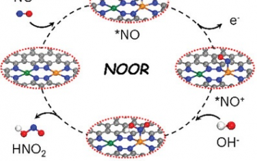 北京大学Adv Mater：双原子位点的轨道耦合增强电催化NO氧化实现细胞NO传感