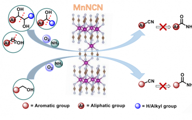 中南民族大学Angew：MnNCN催化有机醇合成腈
