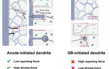 AEM：全固态锂金属电池中树枝晶形成的阳极引发和晶界引发机制研究