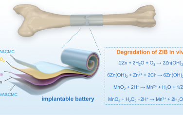 ACS Nano：植入式锌离子电池及其代谢产物的成骨免疫调节功能