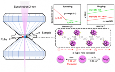 JACS：压缩的金属纳米团簇晶体的共存、竞争隧道和跳跃电荷传输