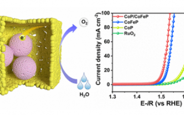 ACS Nano：释放催化潜力：将 CoP 纳米粒子包裹在介孔 CoFeP 纳米立方体中以增强析氧反应